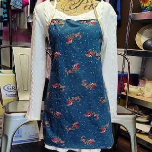 Festive Blue Apron with Santa Sleigh Design